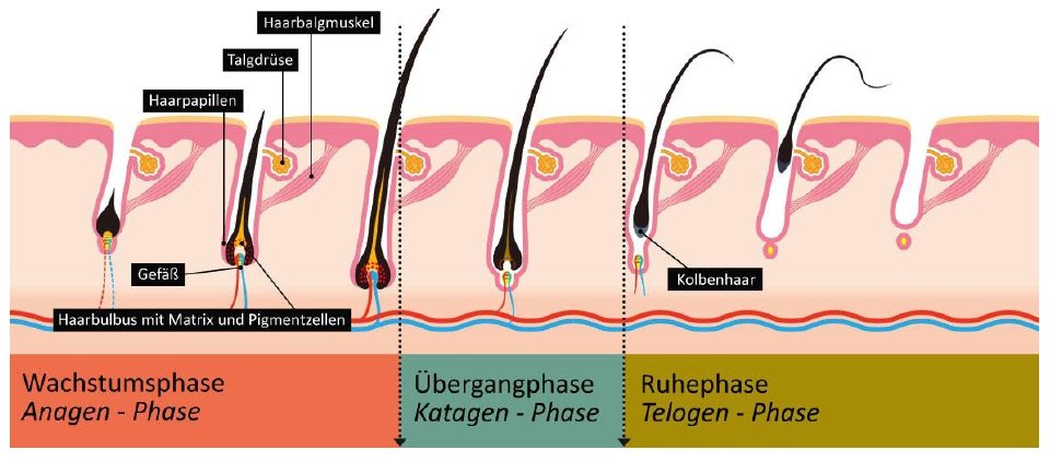 Haarentfernung Preise neu (1)_page-0003